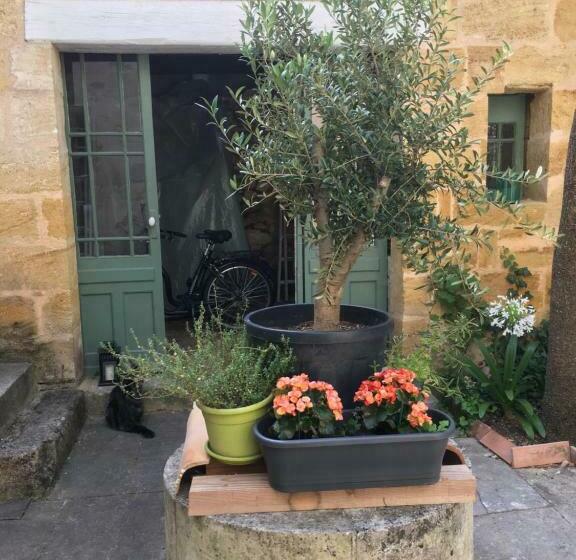 بنسيون Maison De Maître Elegia
