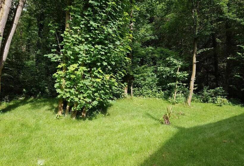 פנסיון Panamá Selva Backpacker