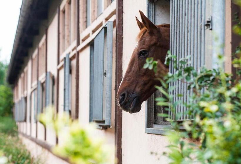 בית מלון כפרי Project June   Ehemals Landgasthof Jüterbog