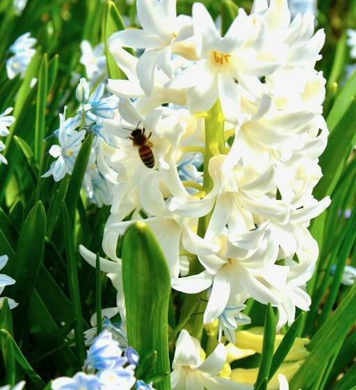 مبيت وإفطار Gaestehaus Kiekmolrin