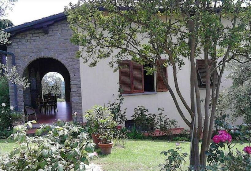 住宿加早餐  La Collina Degli Olivi