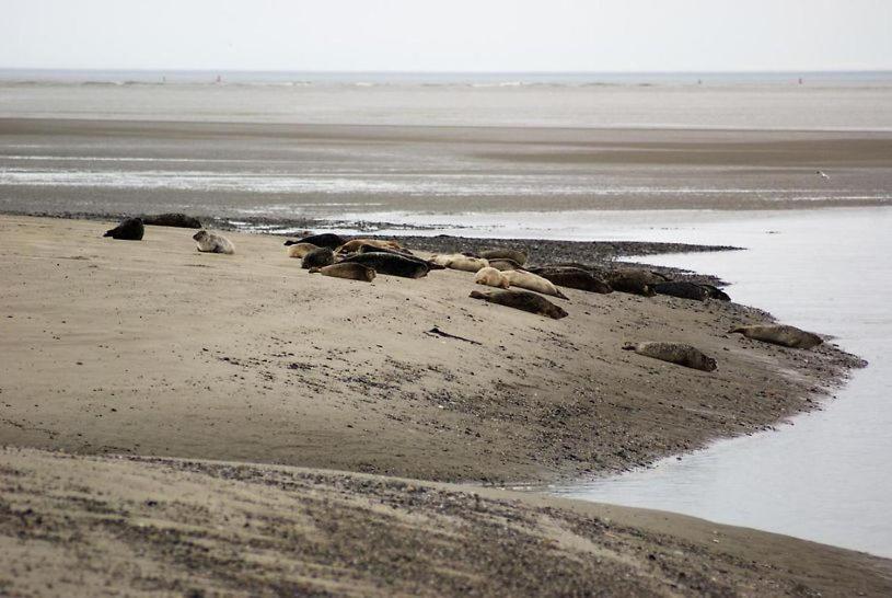 مبيت وإفطار La Longère De Suzanne