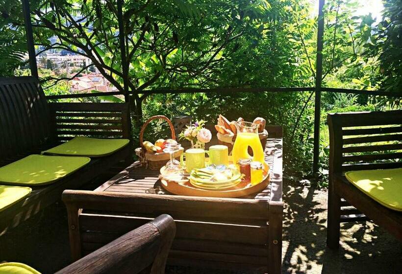 Bed & Breakfast Chambres D Hôtes Cottage Bellevue