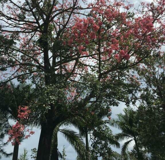 ペンション Recanto Caminho Das águas