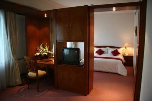 Fotos del hotel Twin Plaza:  4