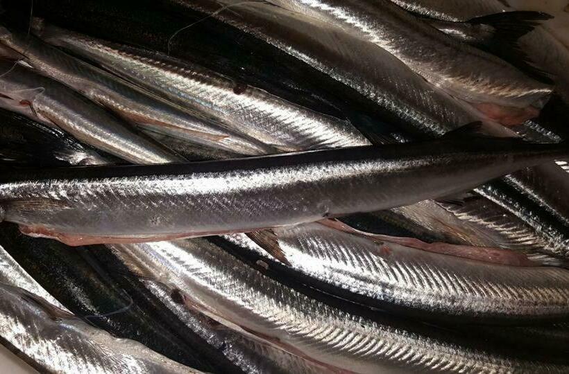 فندق صغير Gästehaus & Restaurant Seemannshus