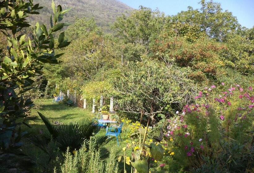 B&b Casa Codega