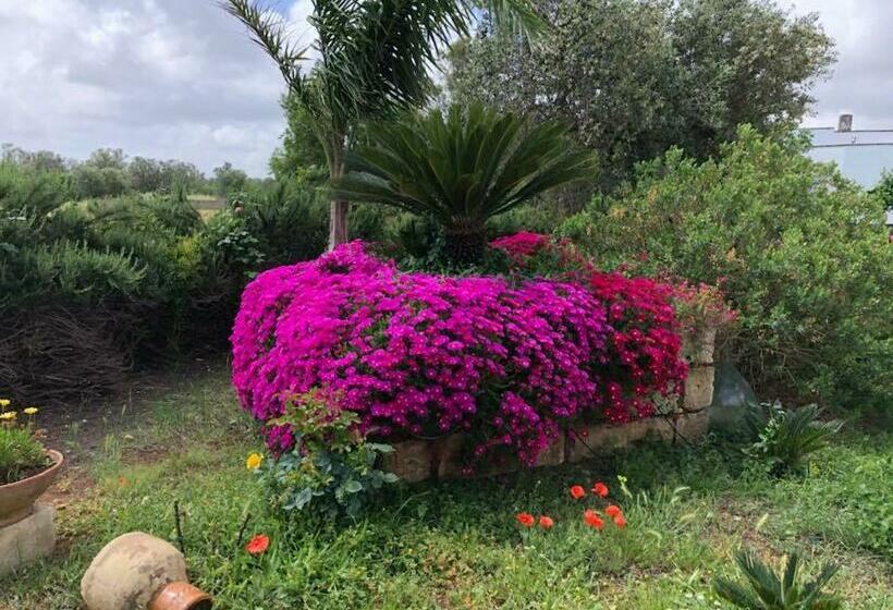 Bed and Breakfast Curti Russi