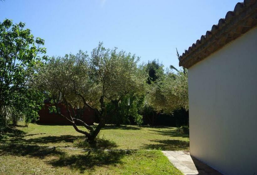 住宿加早餐  Studio Au Coeur De La Petite Camargue