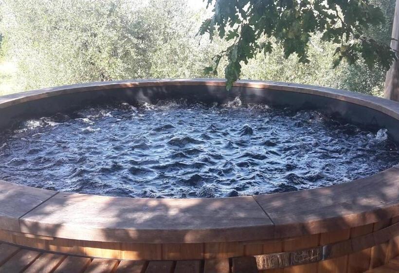 فندق Bioagriturismo Poderaccio