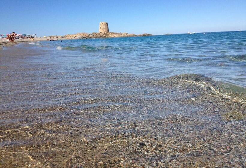B&b Campu Moru