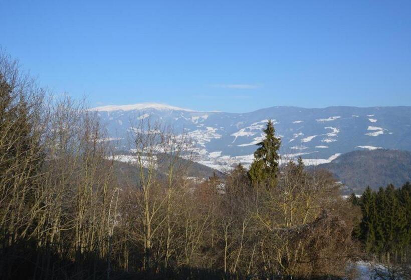 旅馆 Gasthof Johannesmesner