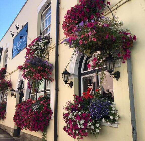 فندق صغير Tiger Inn