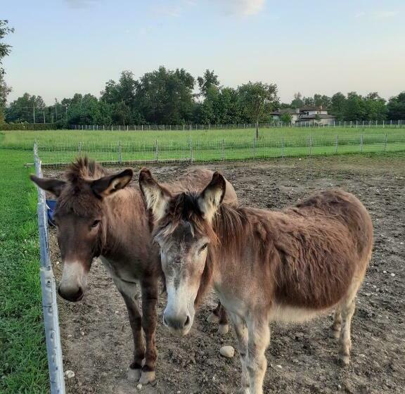 צימר Azienda Agrituristica Ai Prai