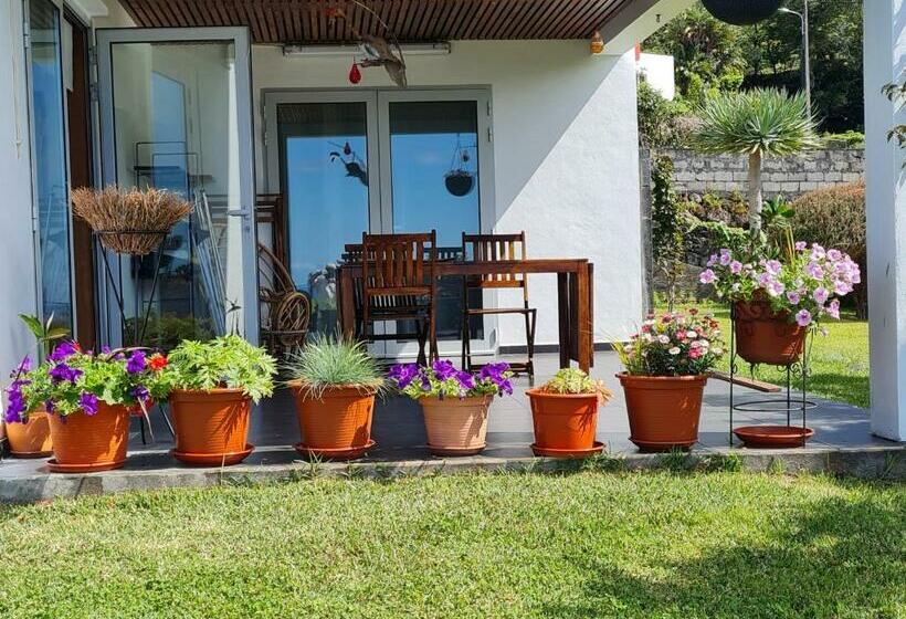 مبيت وإفطار Casa Da Ribeira