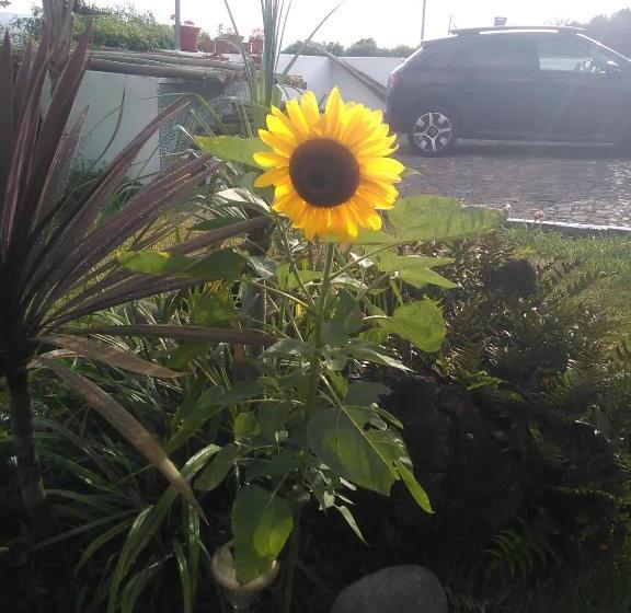 مبيت وإفطار Casa Da Ribeira