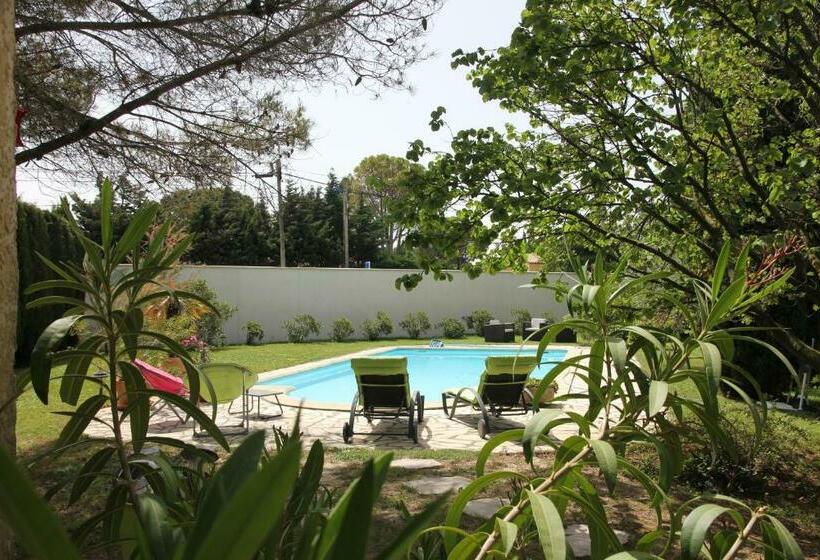 Bed and Breakfast Entre Avignon Et Pont Du Gard
