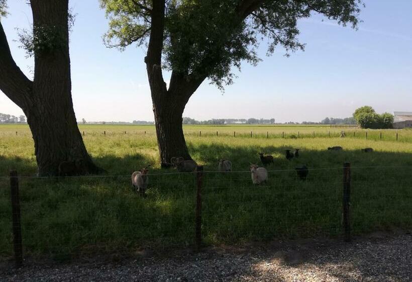 ベッドアンドブレックファースト Het Zeeuwsverblijf