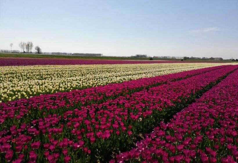 ベッドアンドブレックファースト Het Zeeuwsverblijf