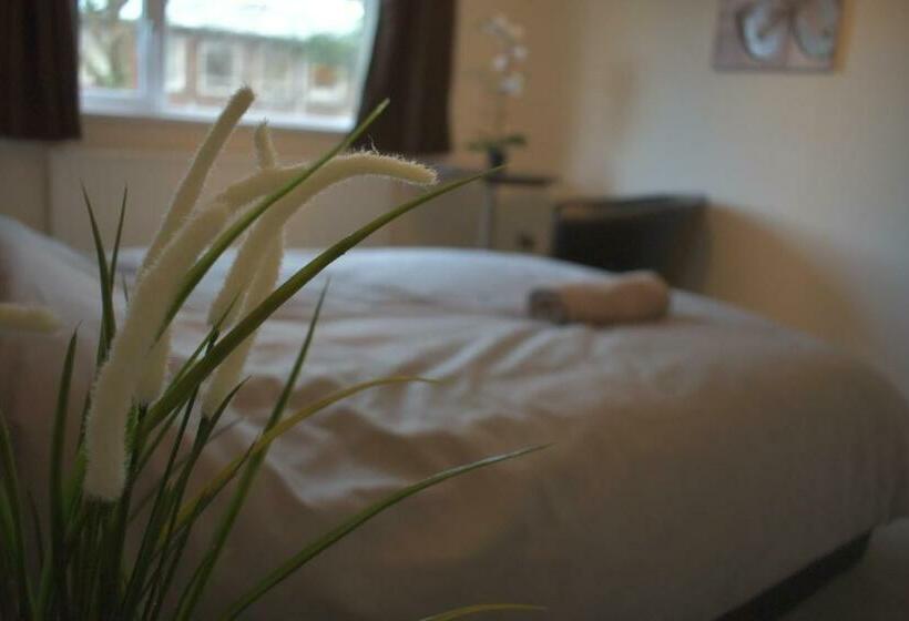 بنسيون Home And A Stay