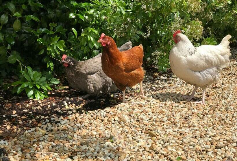 بنسيون Manoir Des Petites Bretonnes