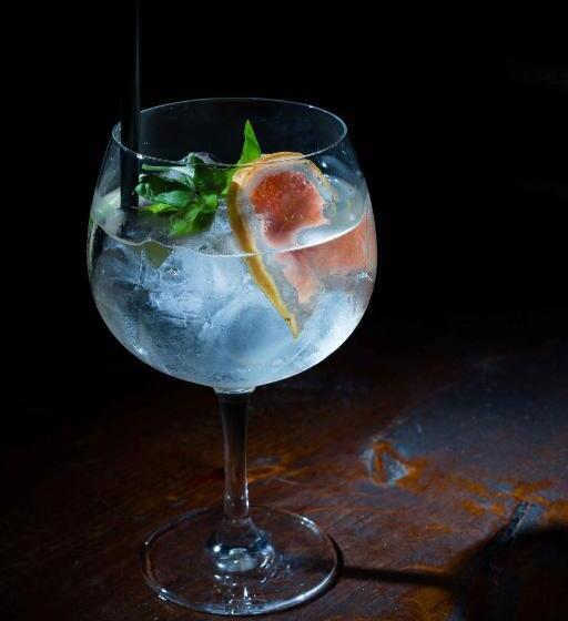 پانسیون šnekolend