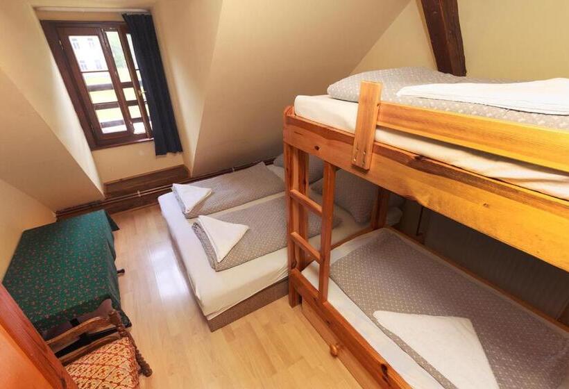 旅馆 Penzion Black Sheeps Adventures