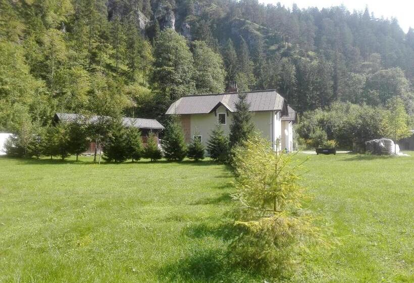 旅馆 Penzion Black Sheeps Adventures