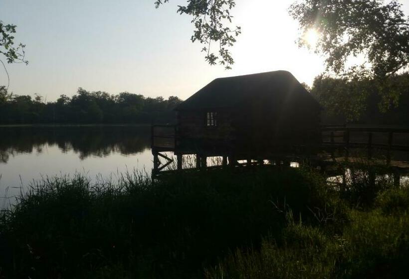 פנסיון Au Cocon De Sologne