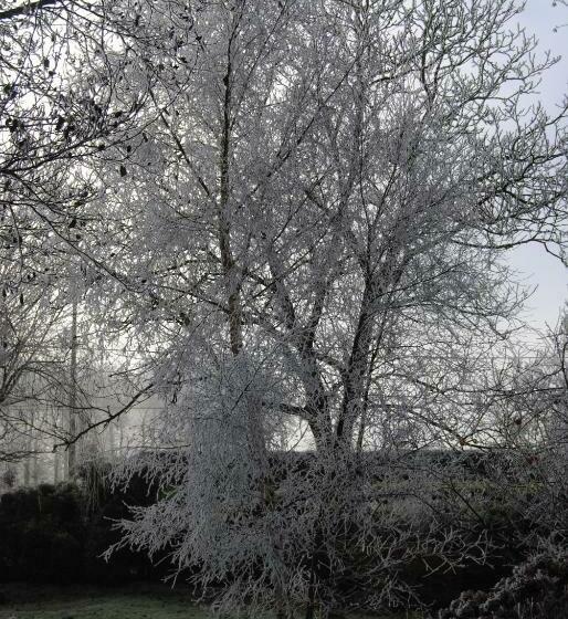 ベッドアンドブレックファースト Chambre D Hotes Murielle