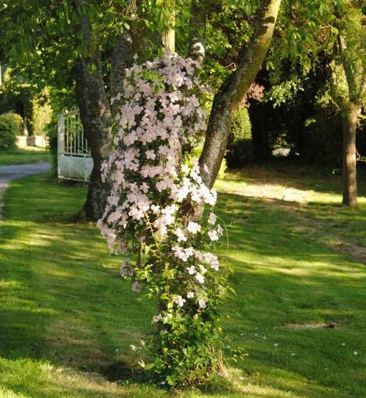 ベッドアンドブレックファースト Chambre D Hotes Murielle