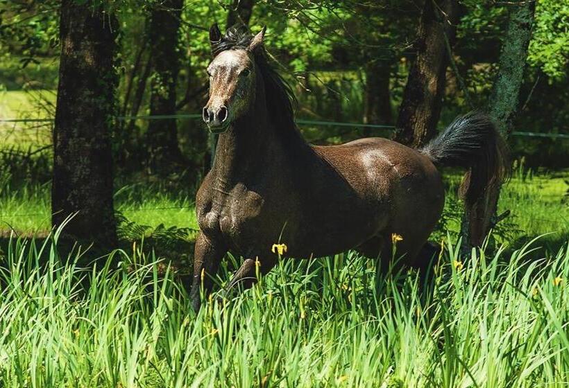 민박 Le Ranch Amadeus