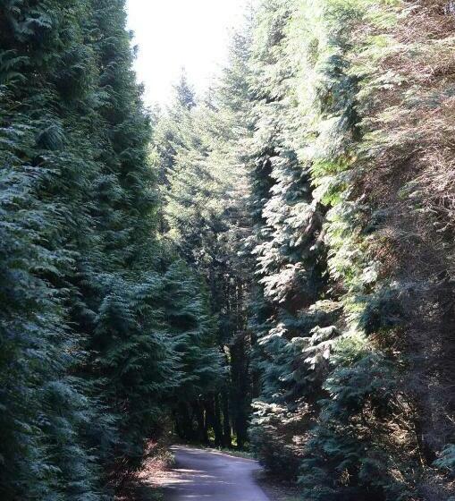 بنسيون Gerecse Vendégház