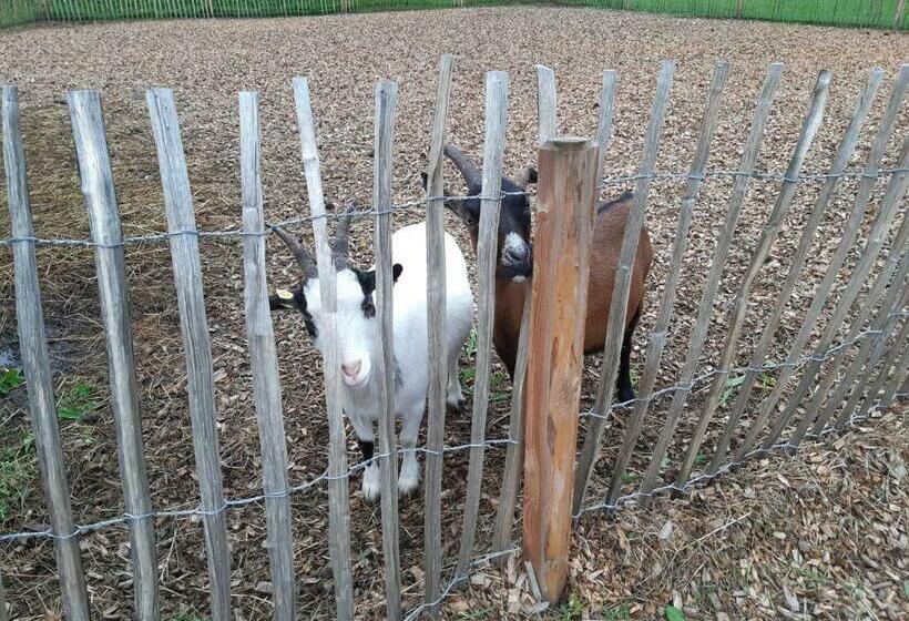 بنسيون Gut Vögeihof