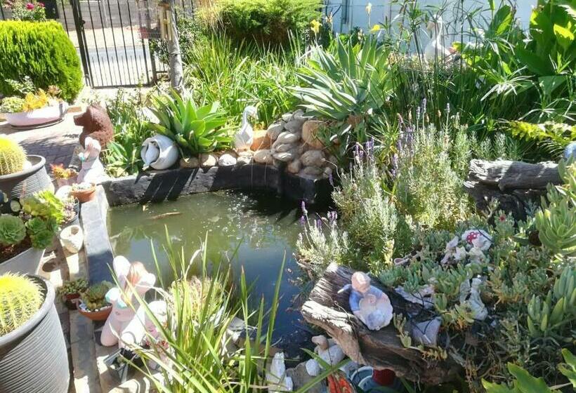 بنسيون Mountainia Inn