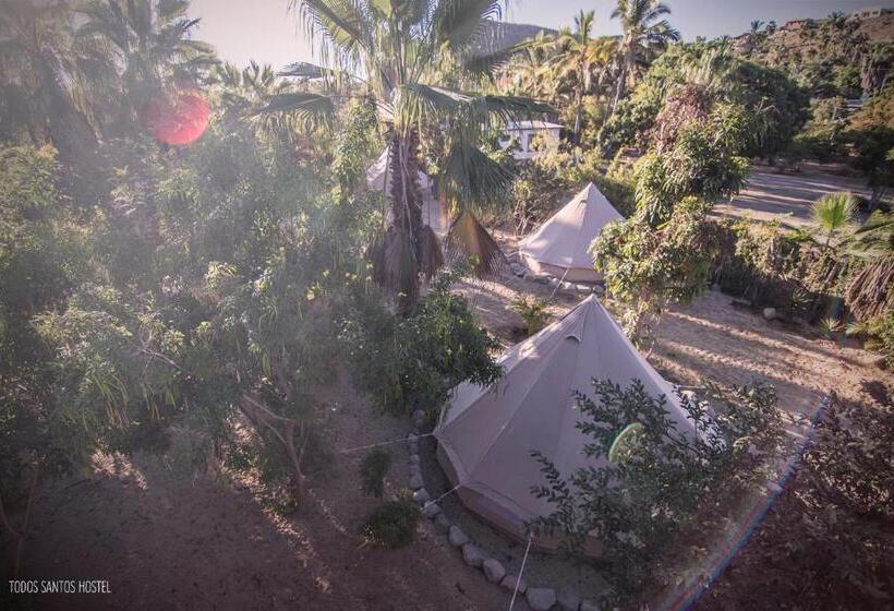 Todos Santos Hostel Super Fast And Stable Satellite Wifi