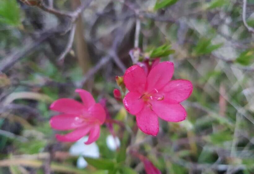 민박 Couloumine Breizh