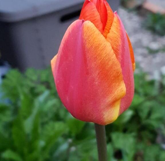 민박 Couloumine Breizh