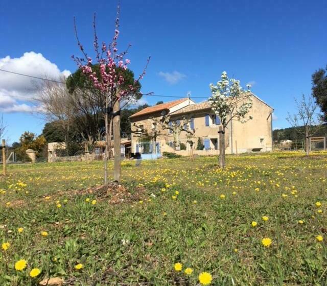 مبيت وإفطار Mas De Costebelle