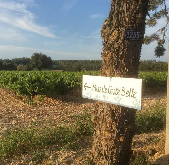 צימר Mas De Costebelle