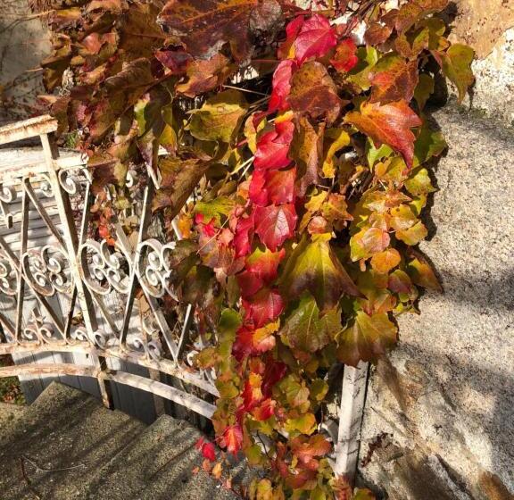 پانسیون Au Rez De Jardin