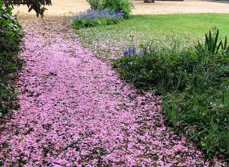 پانسیون Au Rez De Jardin