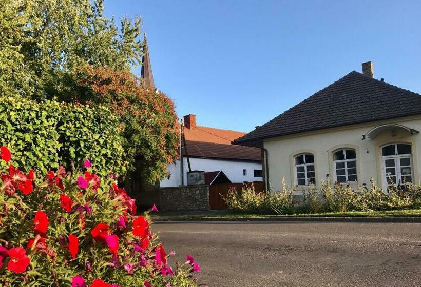 פנסיון Origo Vendégház