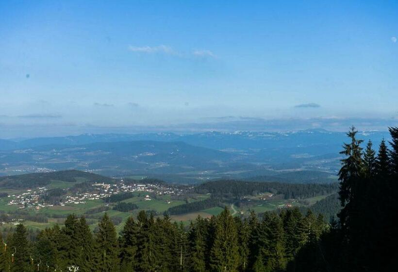 Общежитие Berggasthof Hochpröller