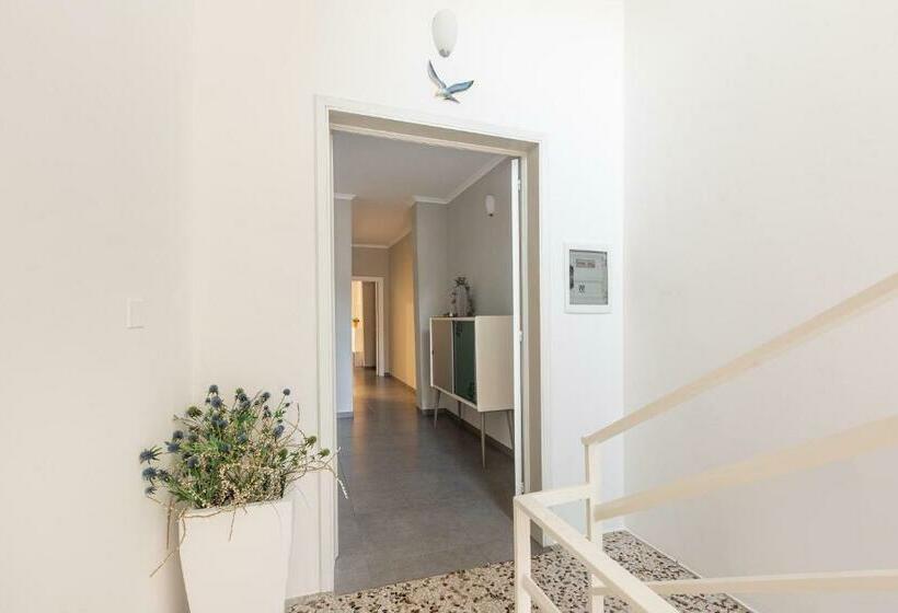 B&b Albatro
