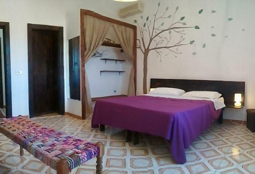 تختخواب و صبحانه Bolinajazz