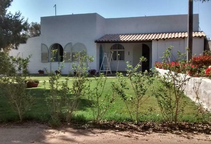 تختخواب و صبحانه Bolinajazz