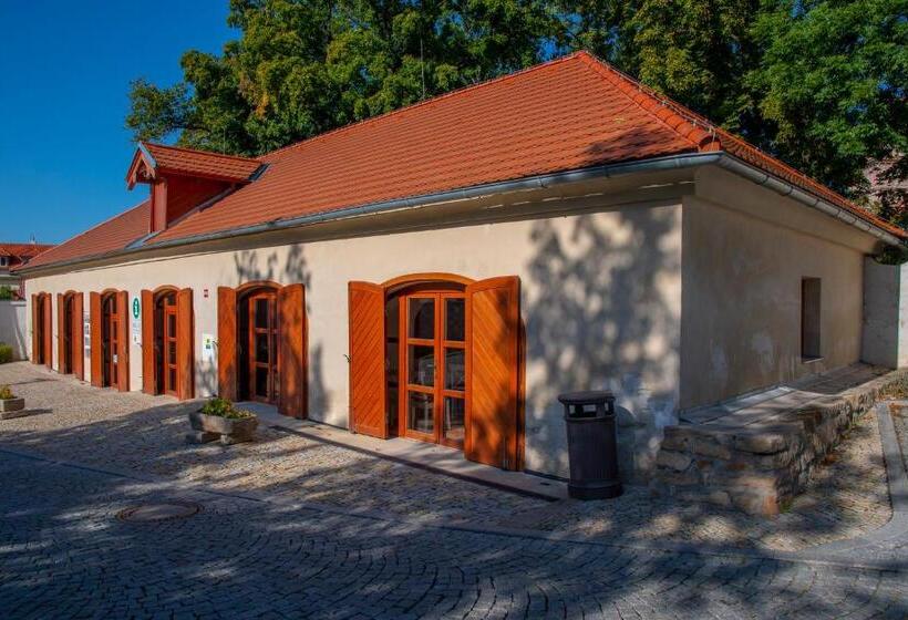 بنسيون Villa Letná