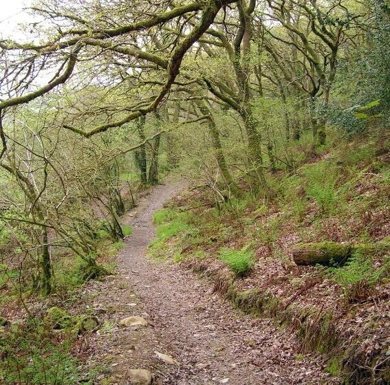 住宿加早餐  Erw Lon Farm