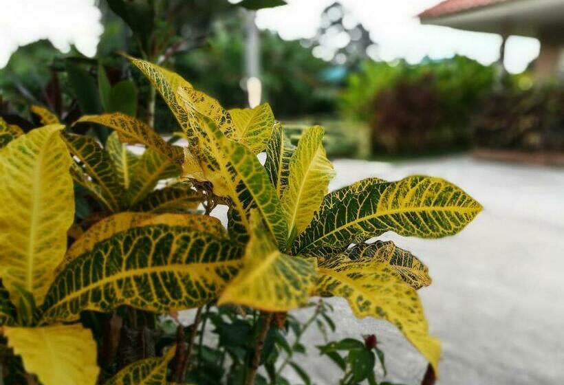 Deva Garden Resort